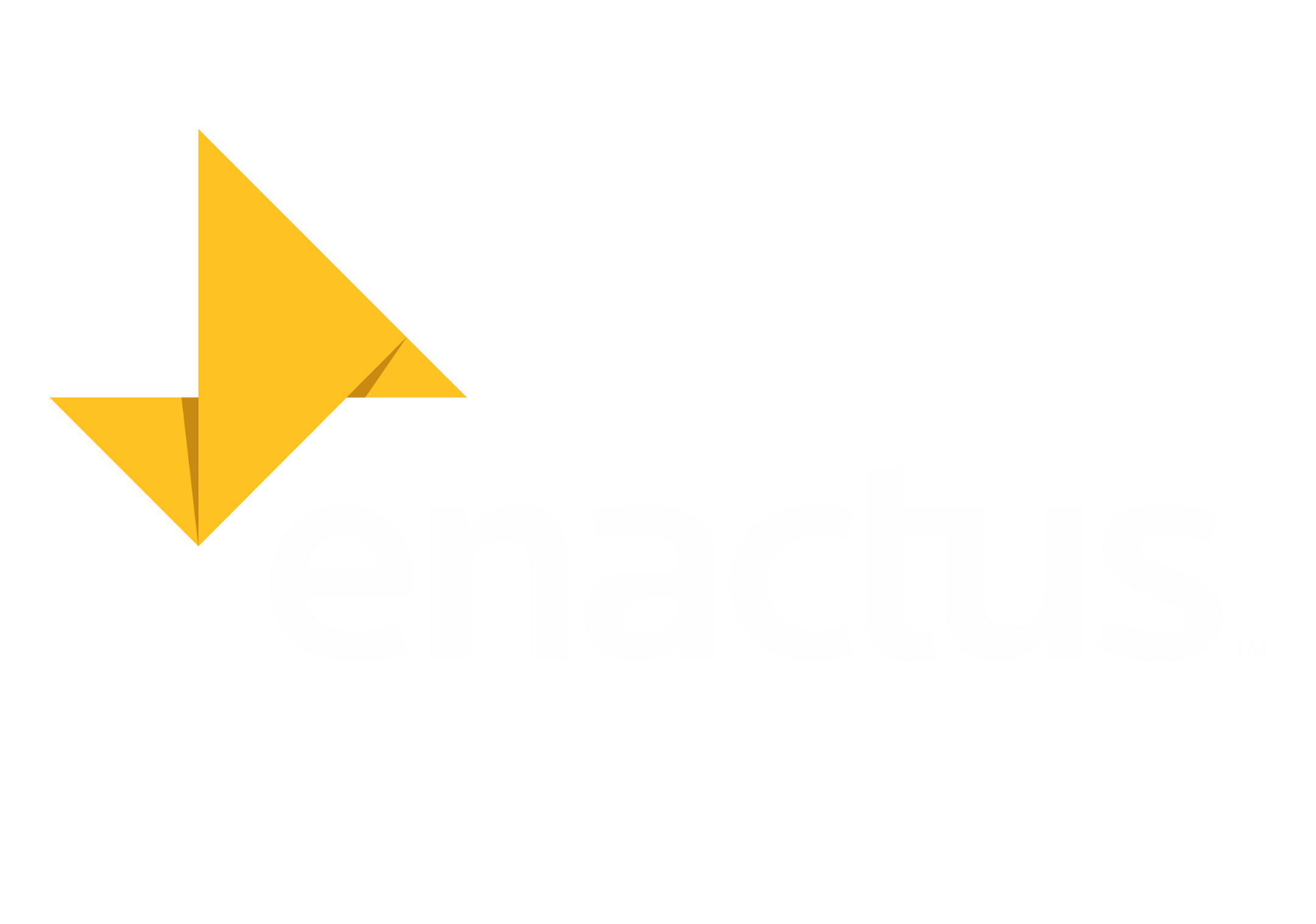 enactus logo