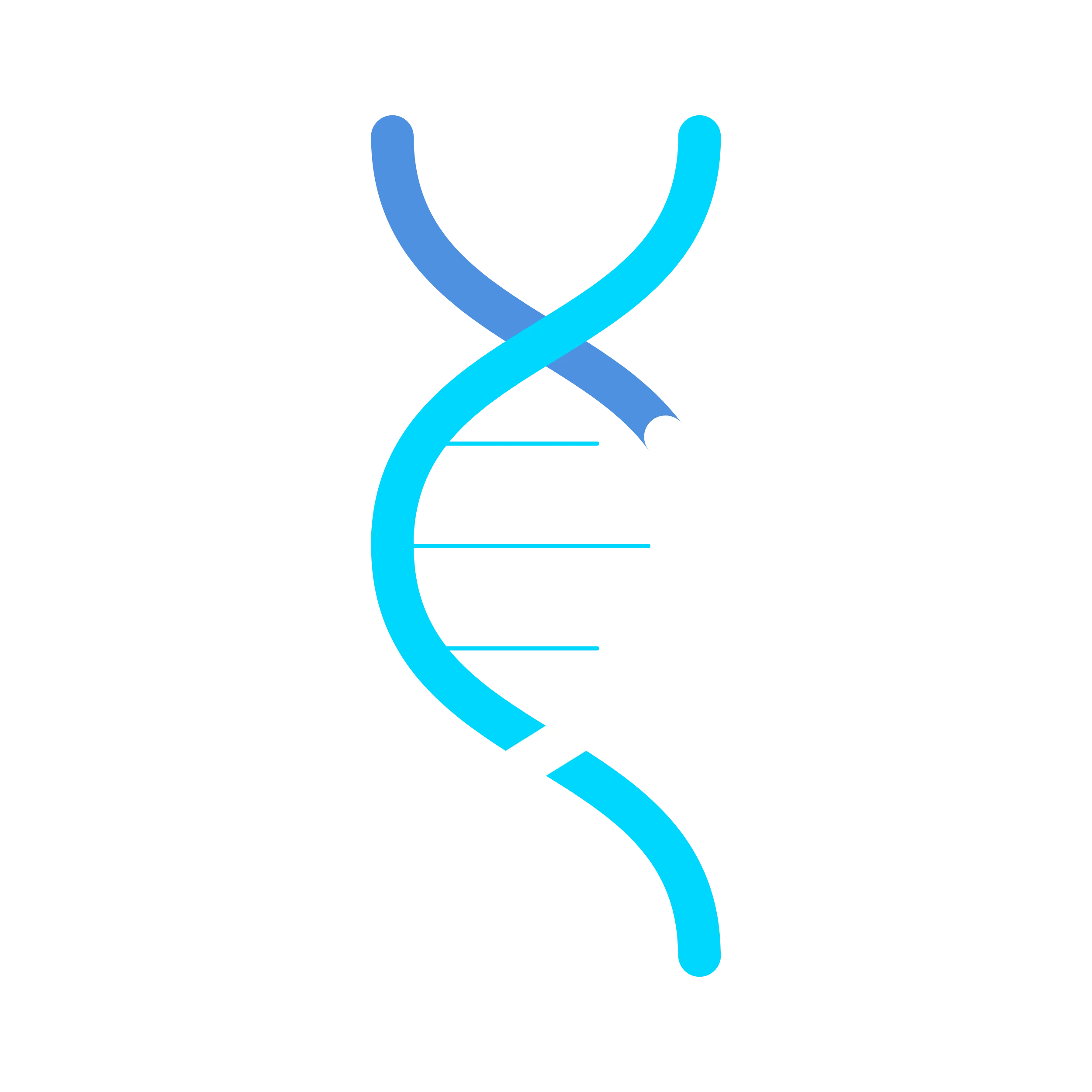 DNA light helix
