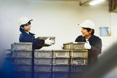 randstad operational career 