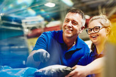 randstad masterbrand