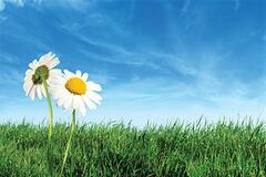 img_14457.jpg
