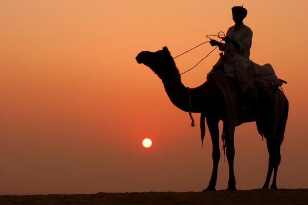 camel rider